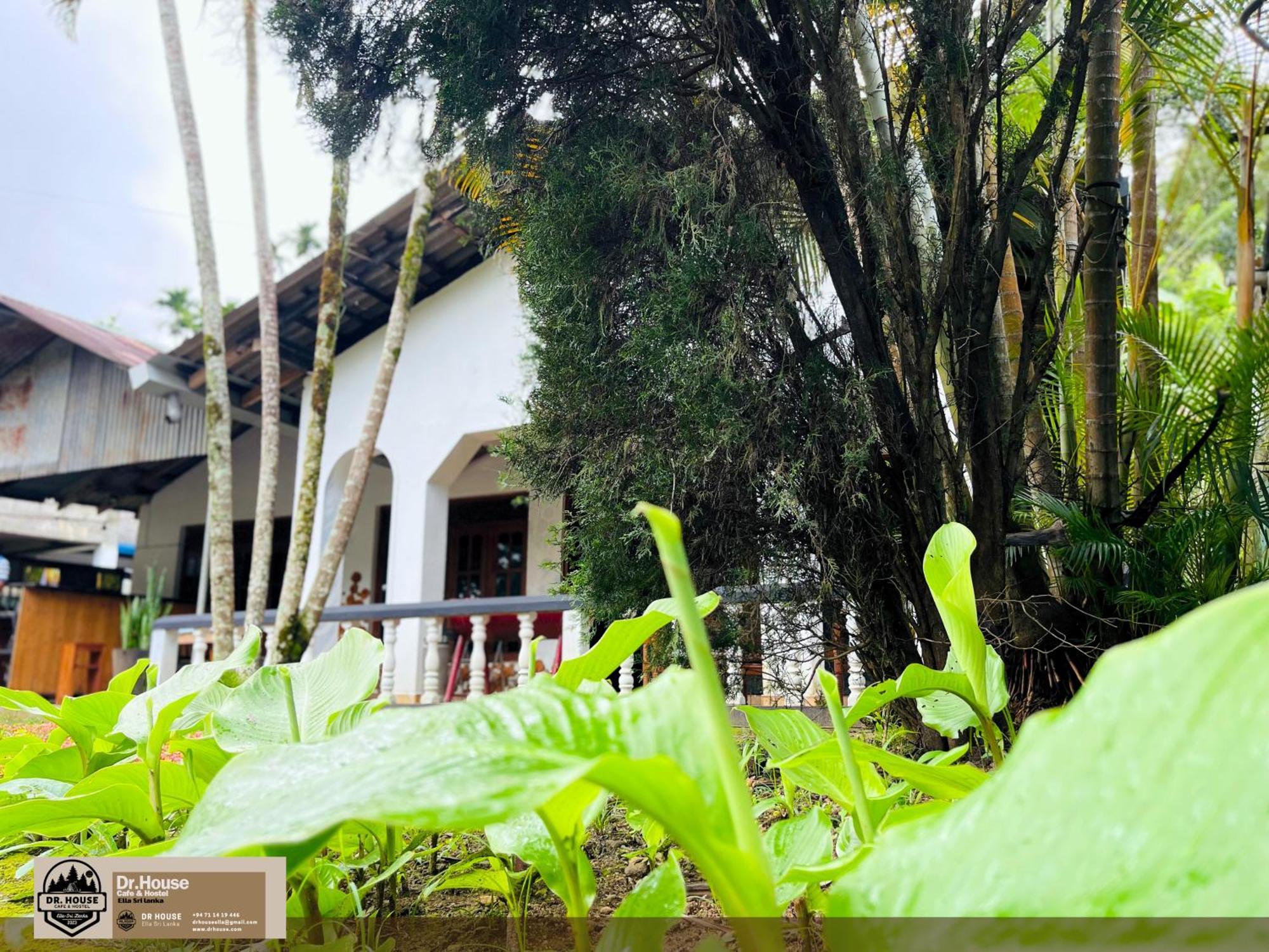 Dr House Ella - Hostel & Cafe Luaran gambar
